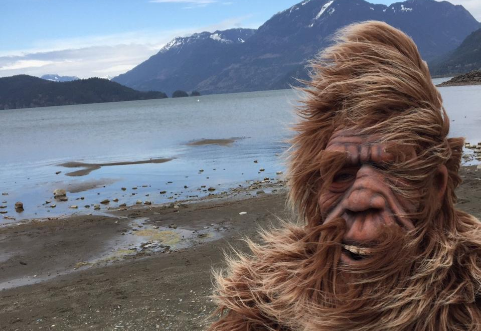 A man by a beach in a hairy suit and mask