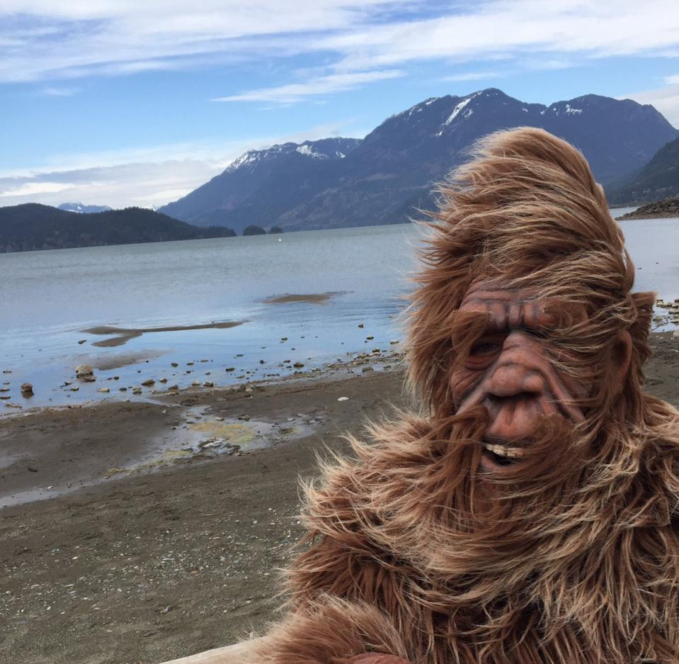 A man by a beach in a hairy suit and mask